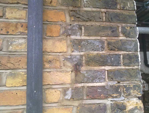 Dilute Chemical Clean - Before and After