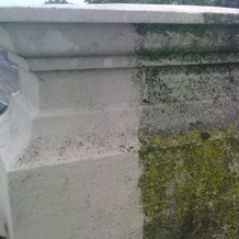 Gallery Image - Adept Restorative Cleaning