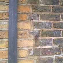 Gallery Image - Adept Restorative Cleaning